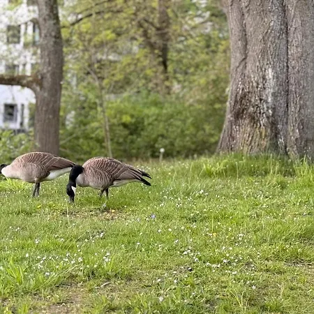 아파트 Stilvolles Am Stadtpark 보훔